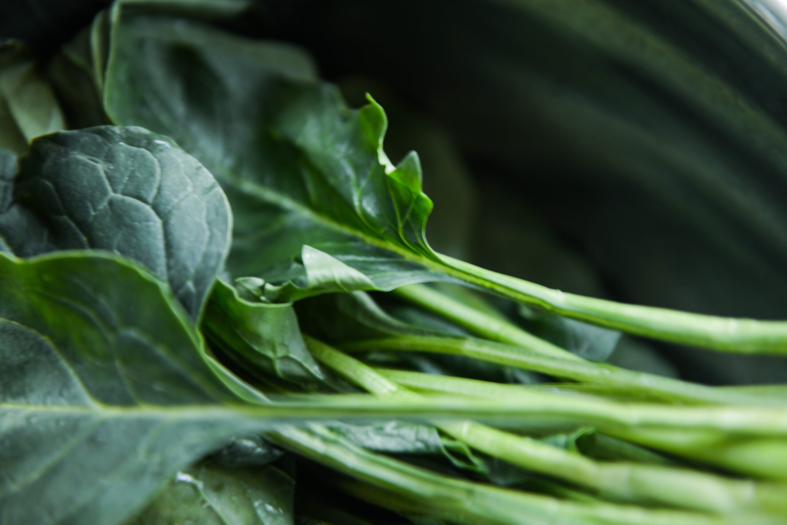 Close up of Spinach greens including stems